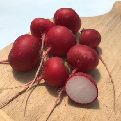 Cherry Belle Radish vendor-unknown