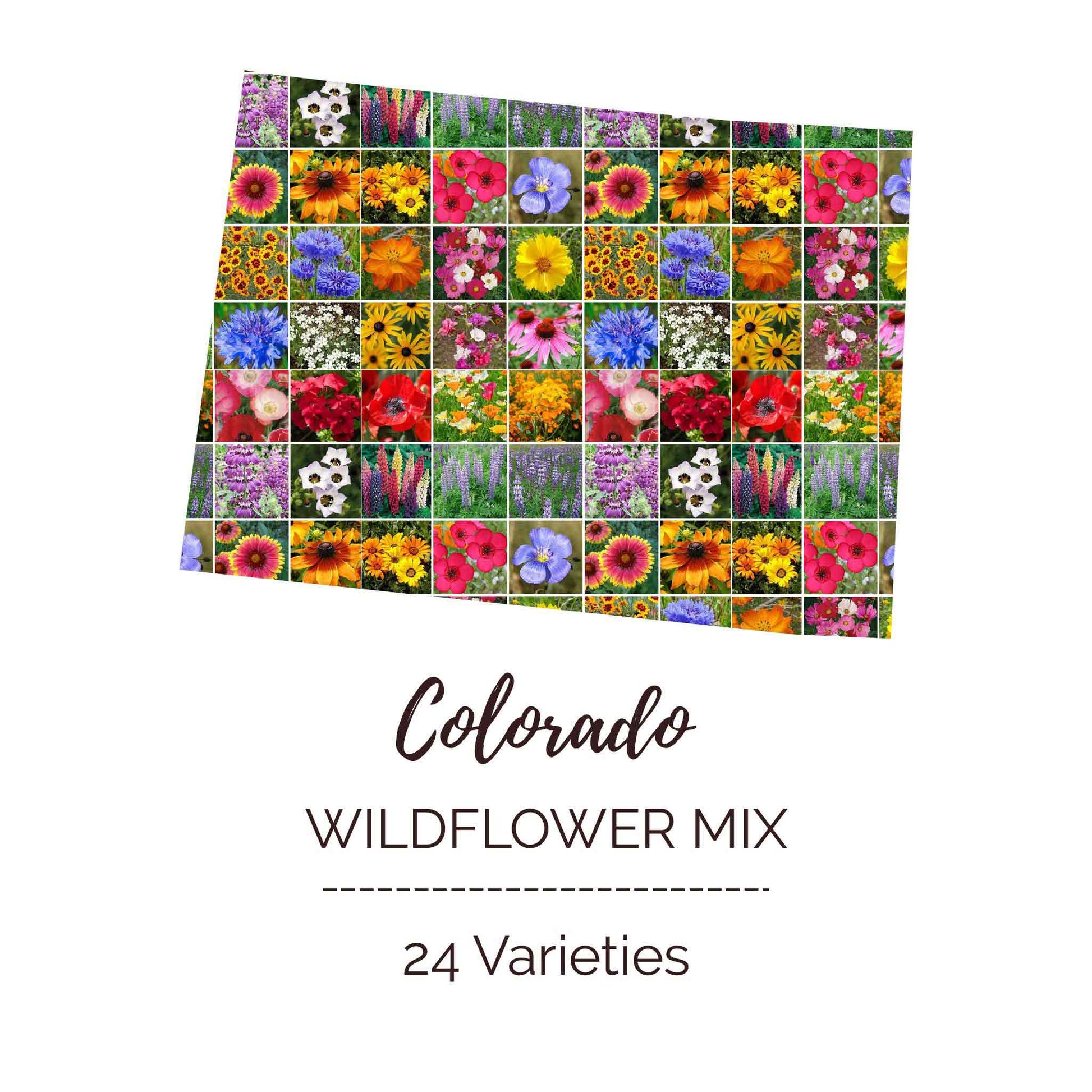 Graphic of the outline of the state for Colorado Wildflower Seed Mix that contains images of the flowers in the mix