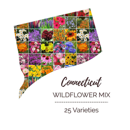Graphic of the outline of the state for Connecticut Wildflower Seed Mix that contains images of the flowers in the mix