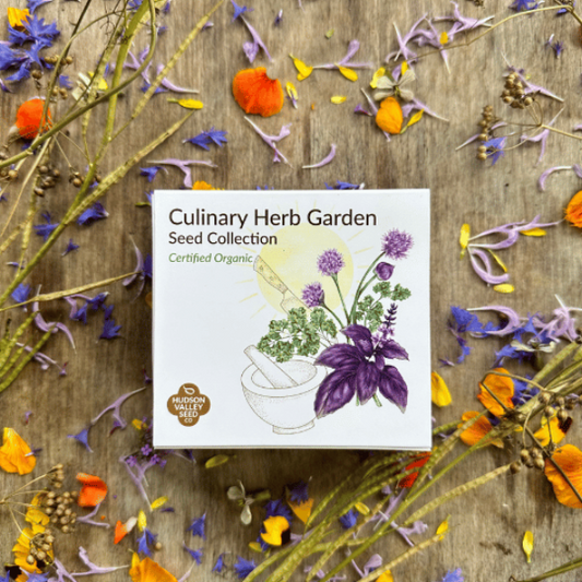 Culinary Herb Garden Seed Collection – herb seed variety