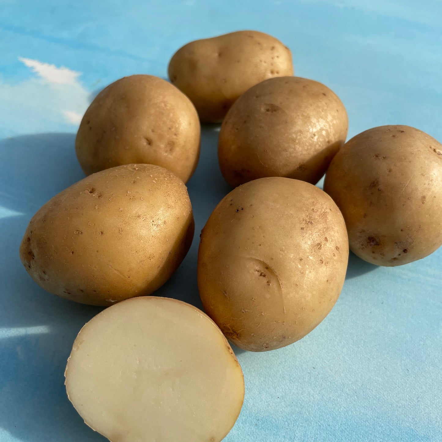 Upstate Abundance Potato