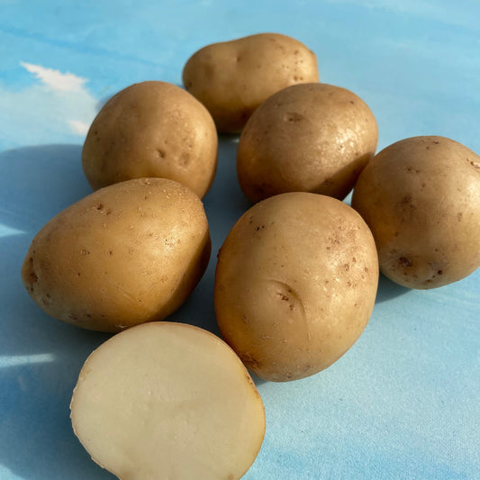 Upstate Abundance Potato – vegetables product