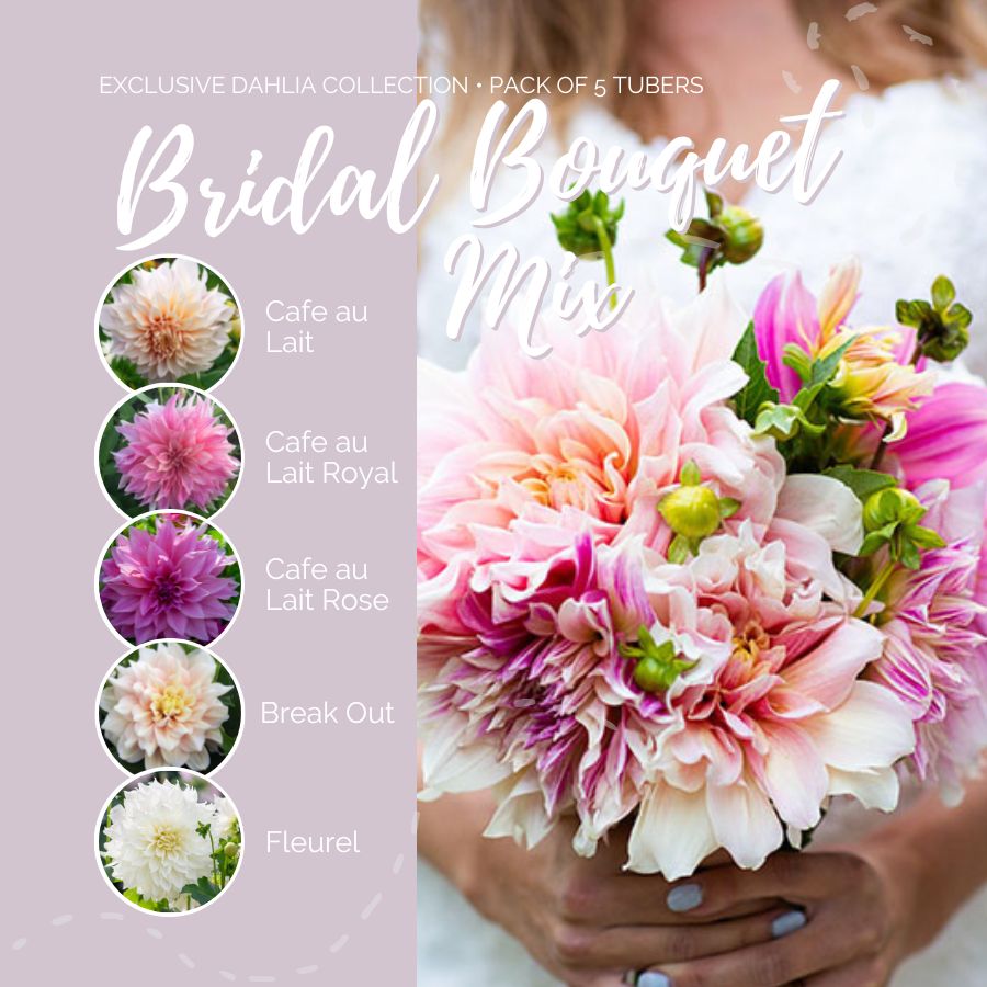 A graphic showing the individual contents of the Bridal Bouquet Mix with a close up of a bouquet next to it.