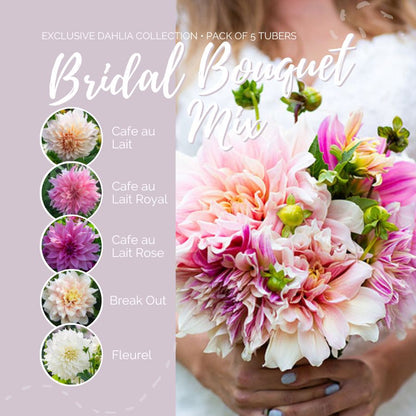 A graphic showing the individual contents of the Bridal Bouquet Mix with a close up of a bouquet next to it.