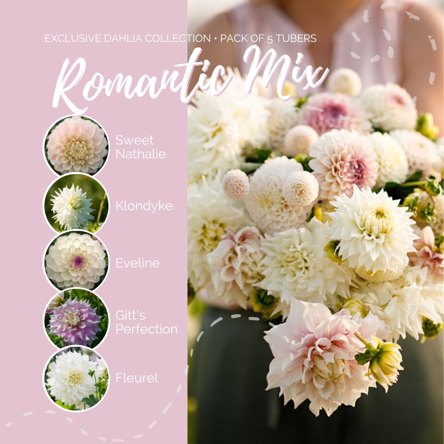 A graphic showing the individual contents of the Romantic Mix with a close up of a bouquet next to it.