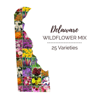 Graphic of the outline of the state for Delaware Wildflower Seed Mix that contains images of the flowers in the mix