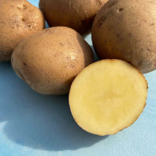 Keuka Gold Potato – vegetables product