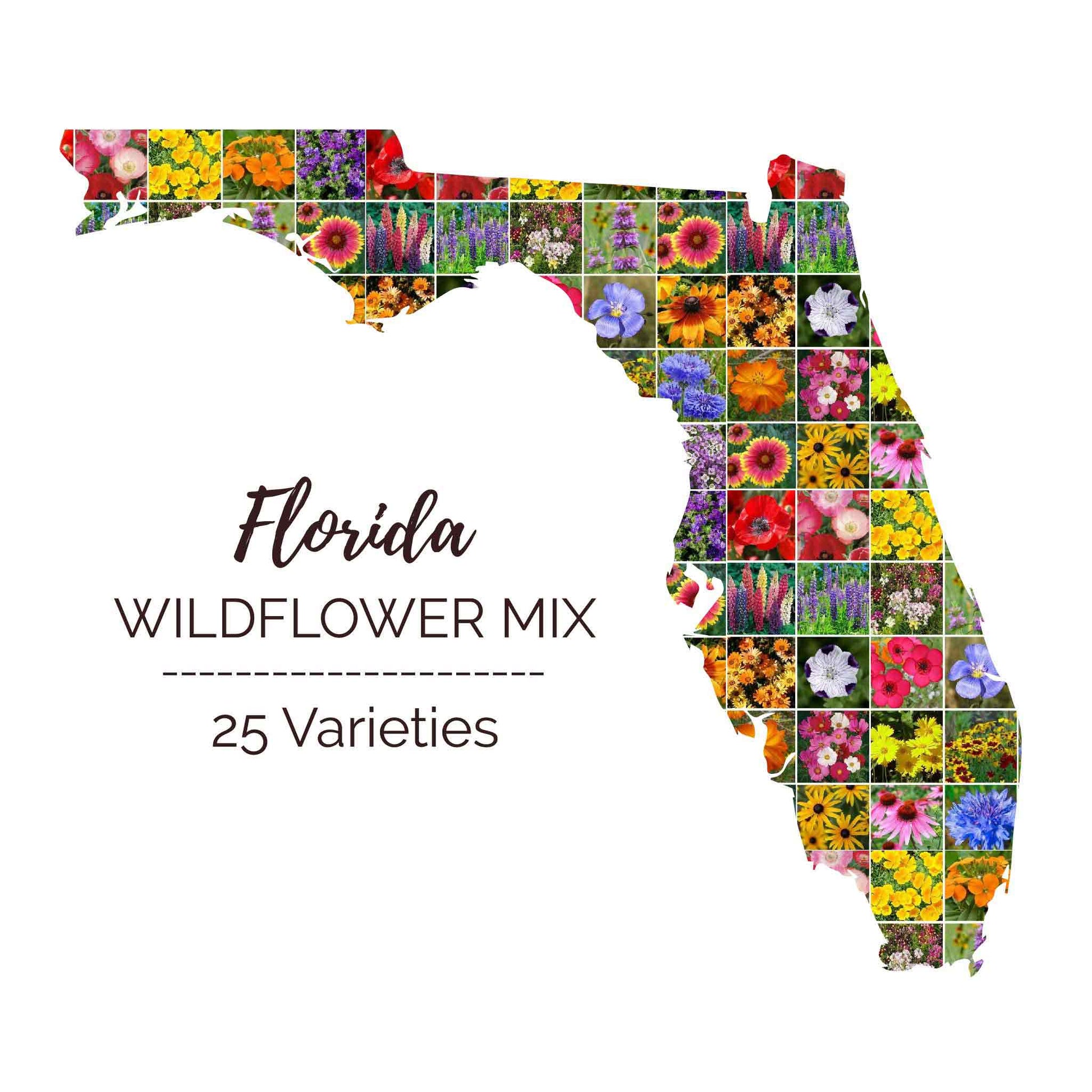 Graphic of the outline of the state for Florida Wildflower Seed Mix that contains images of the flowers in the mix