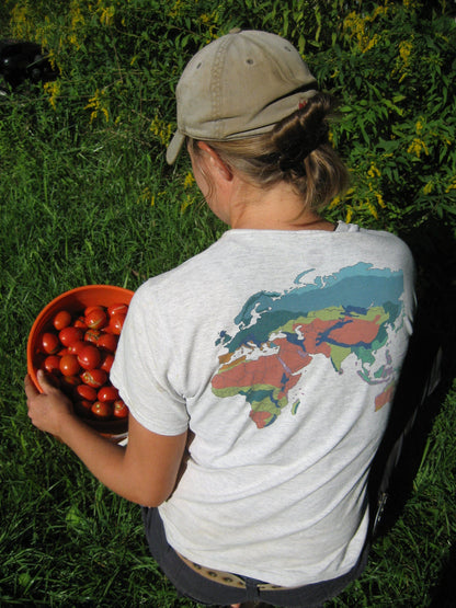 Frank's Iranian Tomato Seeds vendor-unknown