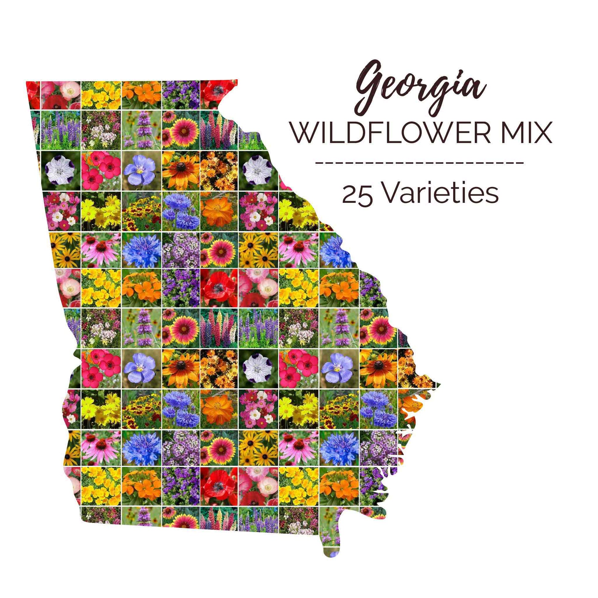Graphic of the outline of the state for Georgia Wildflower Seed Mix that contains images of the flowers in the mix