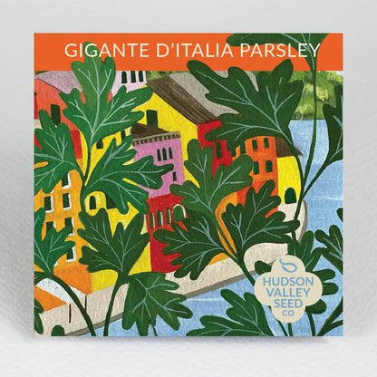 Gigante d'Italia Parsley