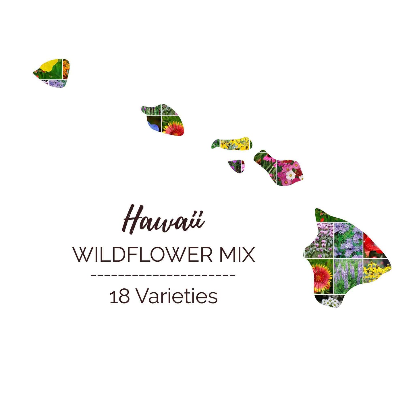 Graphic of the outline of the state for Hawaii Wildflower Seed Mix that contains images of the flowers in the mix