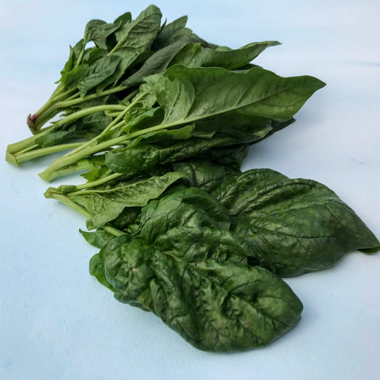 Butterflay Spinach – vegetable seed variety
