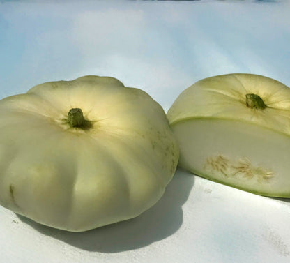 Benning's Green Tint Patty Pan Squash