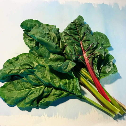 Rainbow Chard – vegetable seed variety