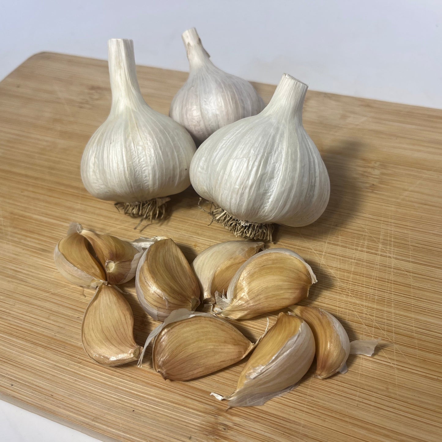 Killarney Red Hardneck Garlic