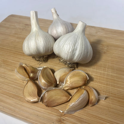 Killarney Red Hardneck Garlic