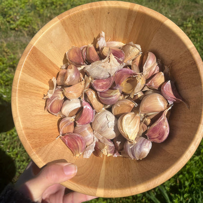 Killarney Red Hardneck Garlic