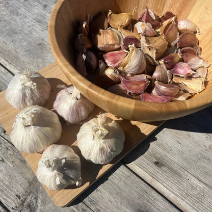 Killarney Red Hardneck Garlic