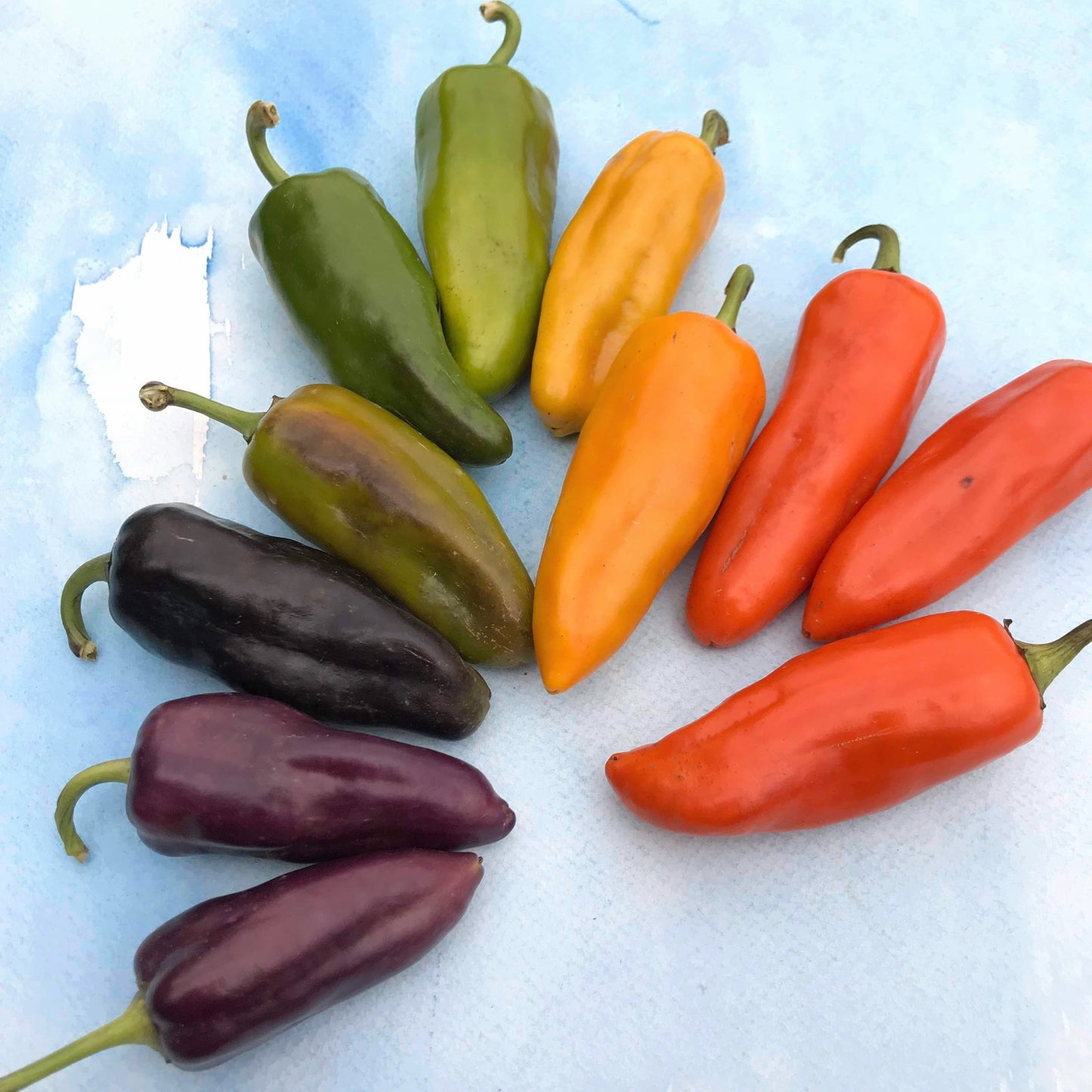 Pippin's Golden Honey Pepper