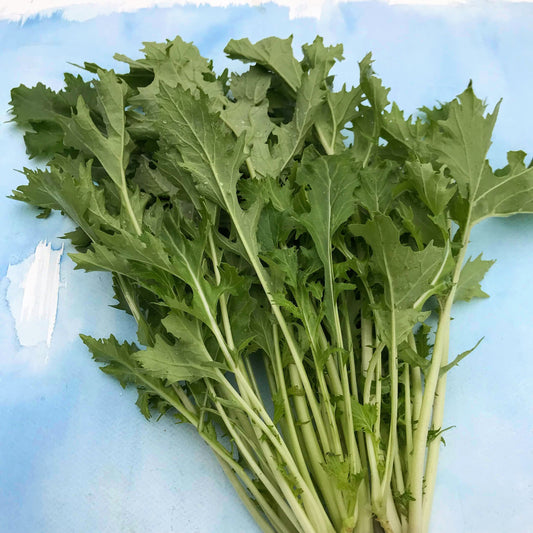 Mizuna – vegetable seed variety