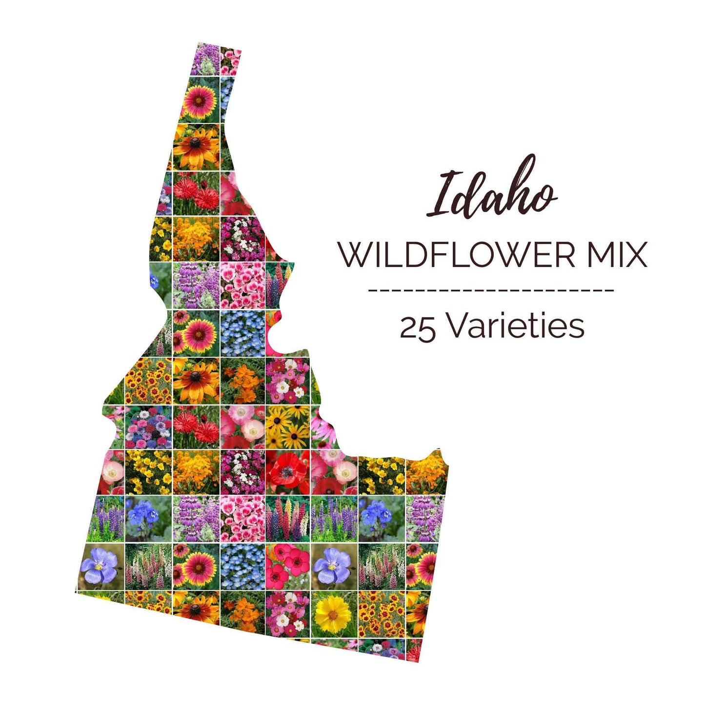 Graphic of the outline of the state for Idaho Wildflower Seed Mix that contains images of the flowers in the mix