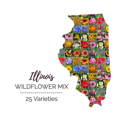 Graphic of the outline of the state for Illinois Wildflower Seed Mix that contains images of the flowers in the mix