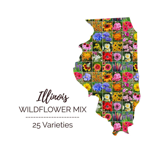 Graphic of the outline of the state for Illinois Wildflower Seed Mix that contains images of the flowers in the mix
