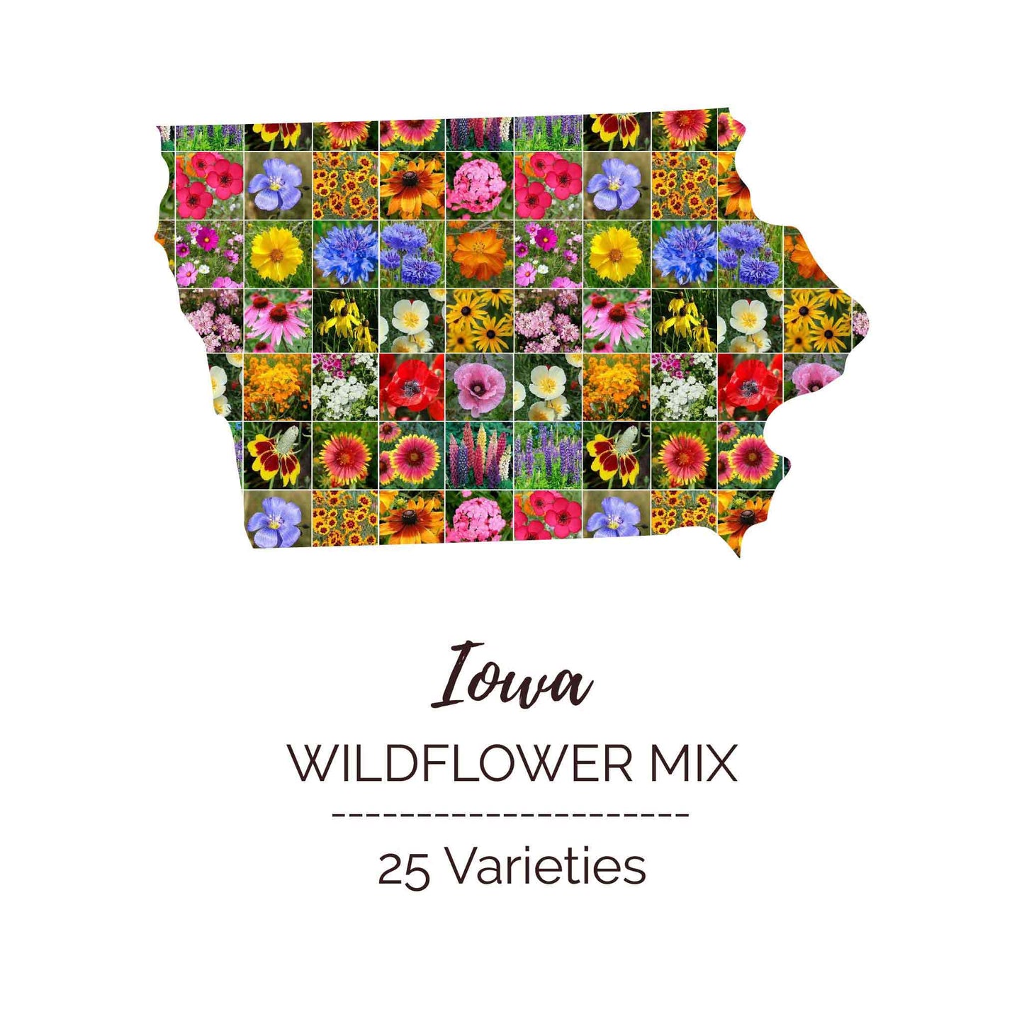 Graphic of the outline of the state for Iowa Wildflower Seed Mix that contains images of the flowers in the mix