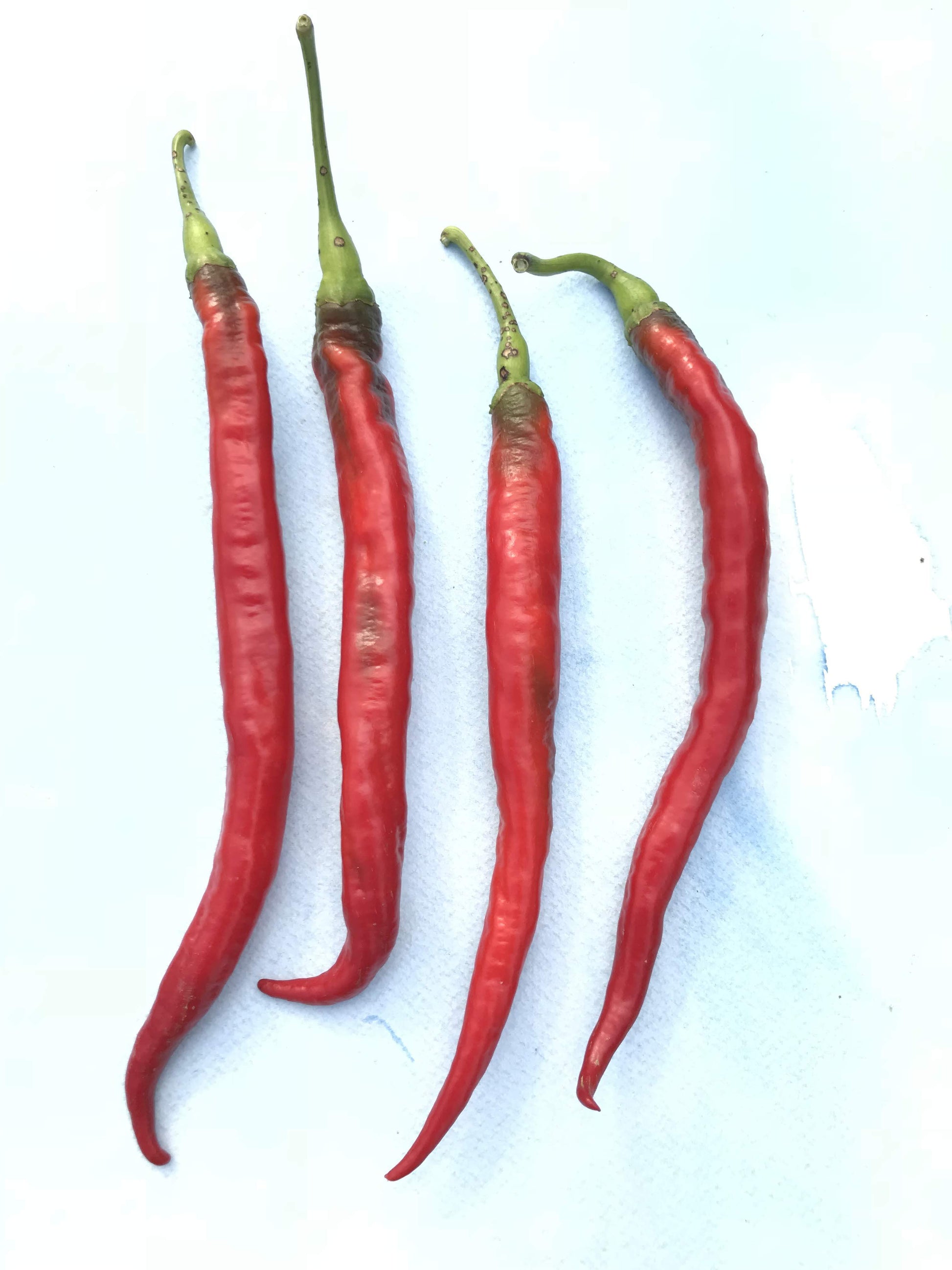 Joe's Long Cayenne Pepper vendor-unknown