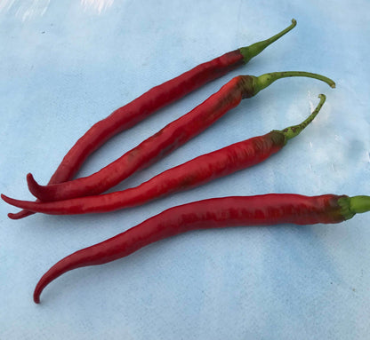 Joe's Long Cayenne Pepper