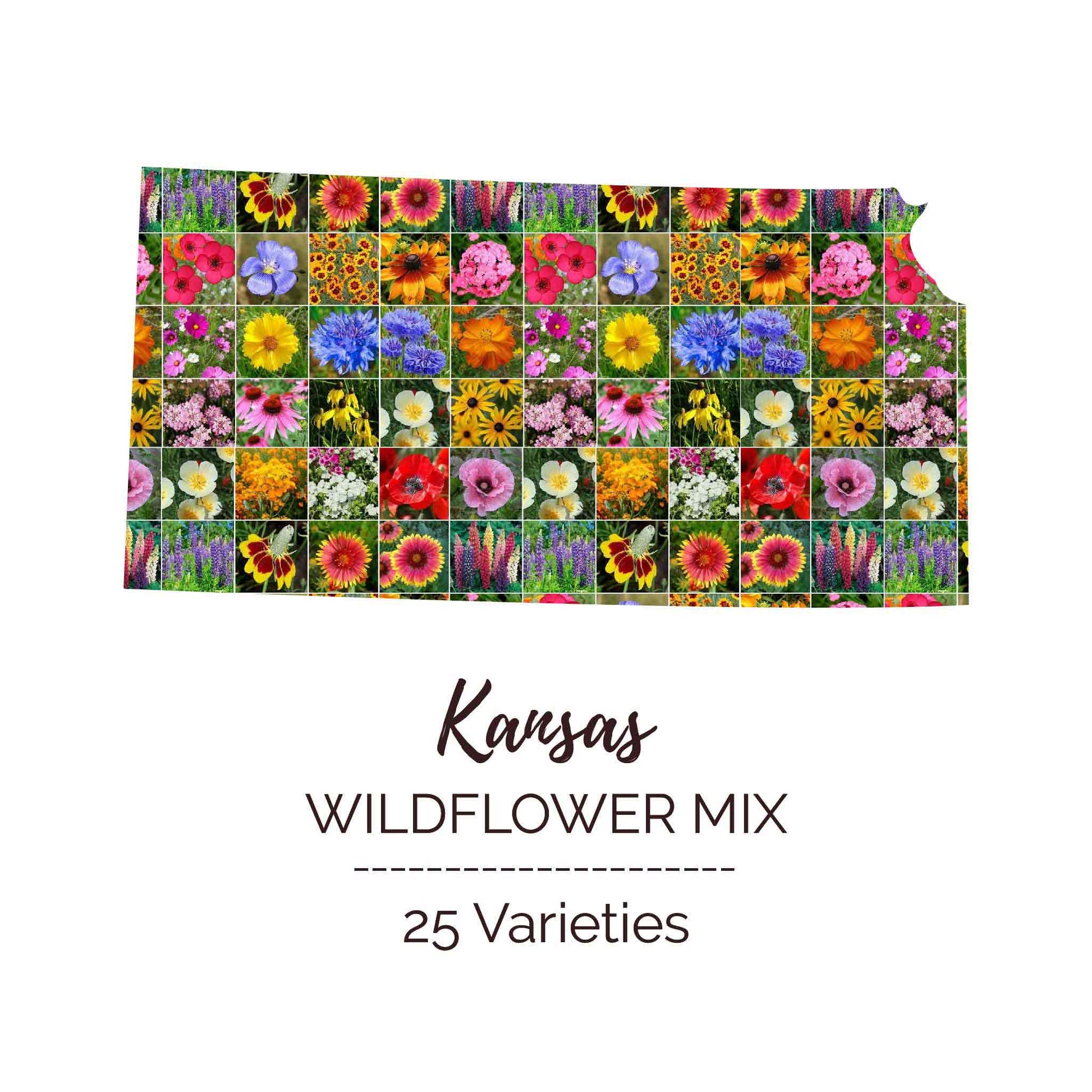 Graphic of the outline of the state for Kansas Wildflower Seed Mix that contains images of the flowers in the mix