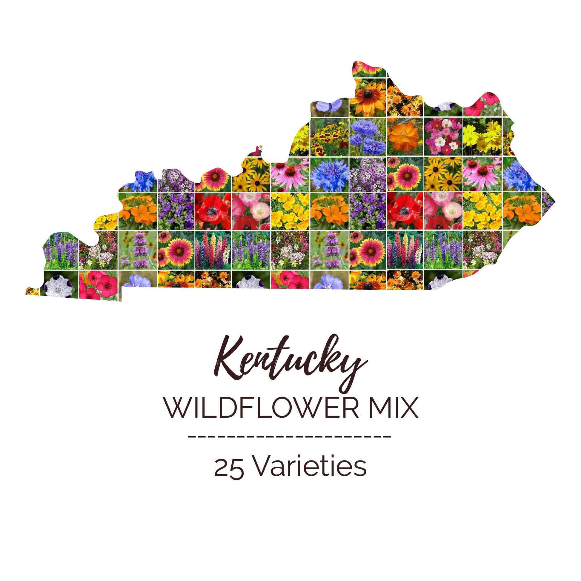 Graphic of the outline of the state for Kentucky Wildflower Seed Mix that contains images of the flowers in the mix