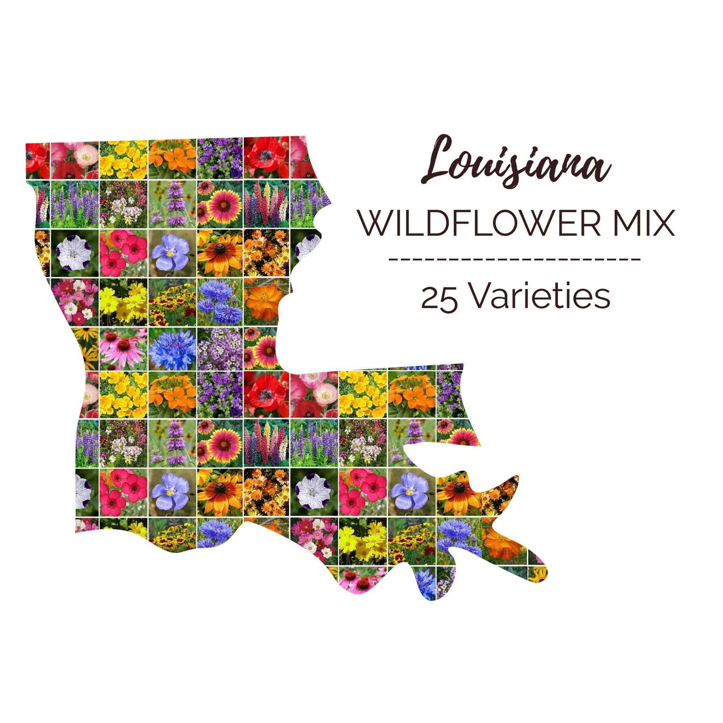 Graphic of the outline of the state for Louisiana Wildflower Seed Mix that contains images of the flowers in the mix