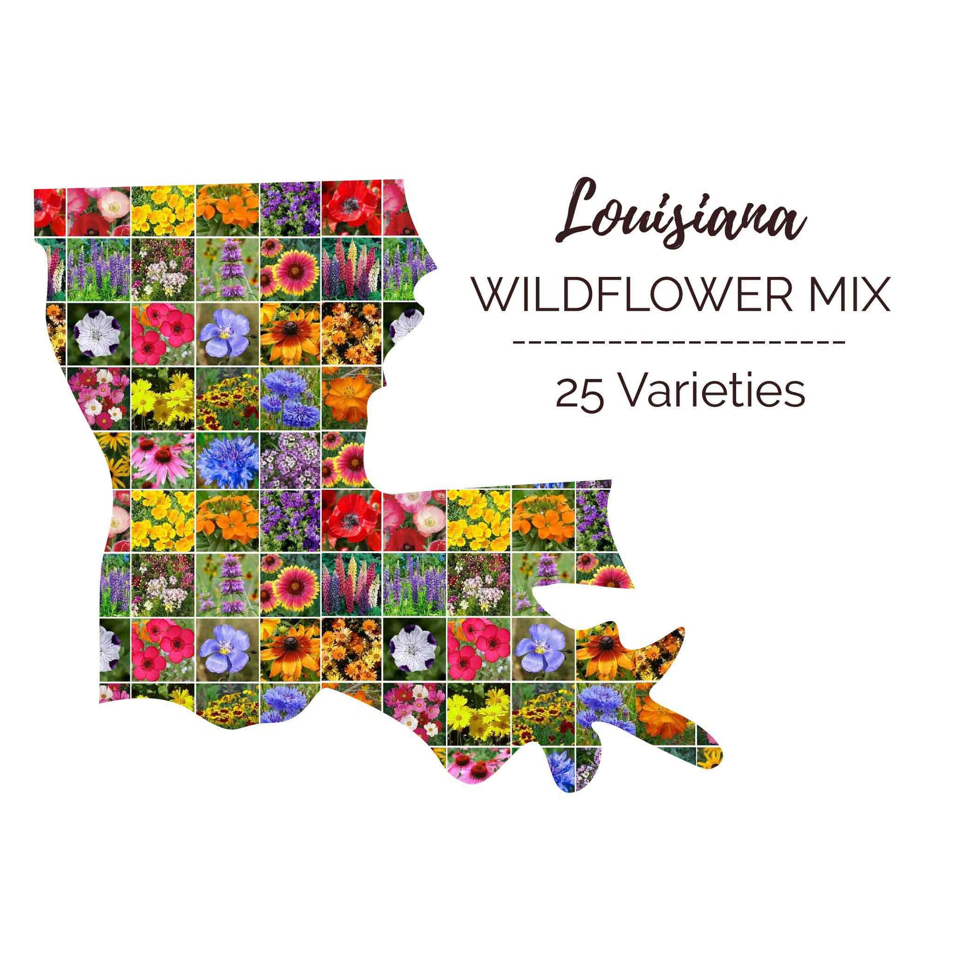 Graphic of the outline of the state for Louisiana Wildflower Seed Mix that contains images of the flowers in the mix