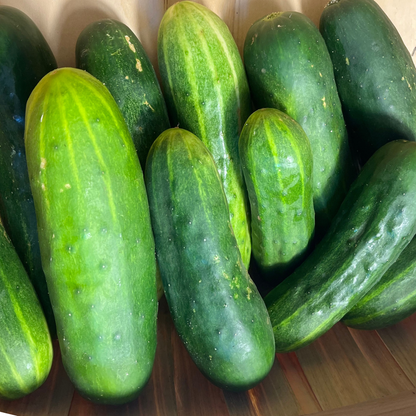 Marketer Cucumber