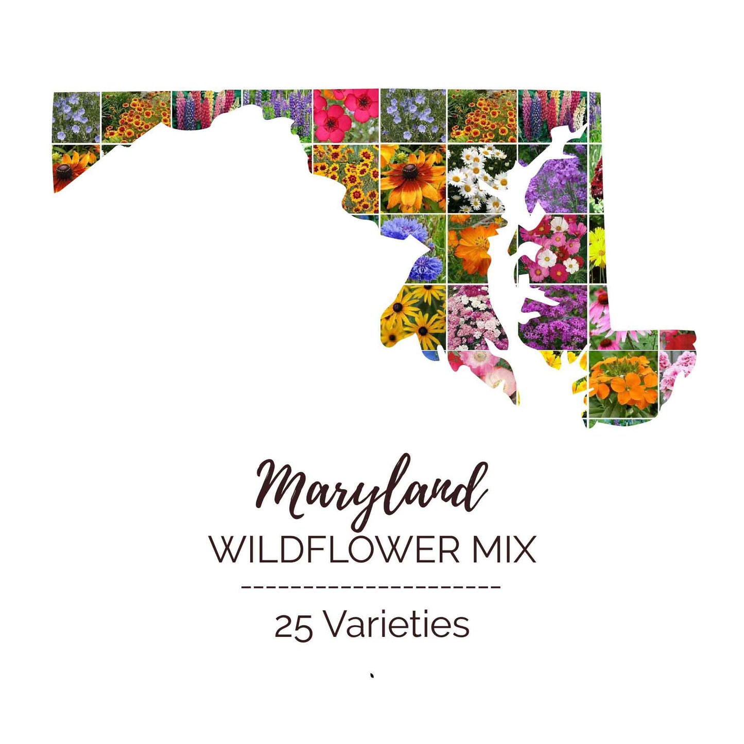 Graphic of the outline of the state for Maryland Wildflower Seed Mix that contains images of the flowers in the mix