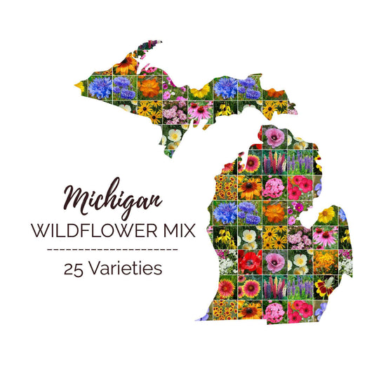 Graphic of the outline of the state for Michigan Wildflower Seed Mix that contains images of the flowers in the mix
