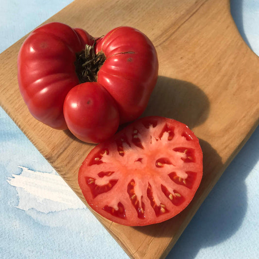 Mikado Tomato – vegetable seed variety