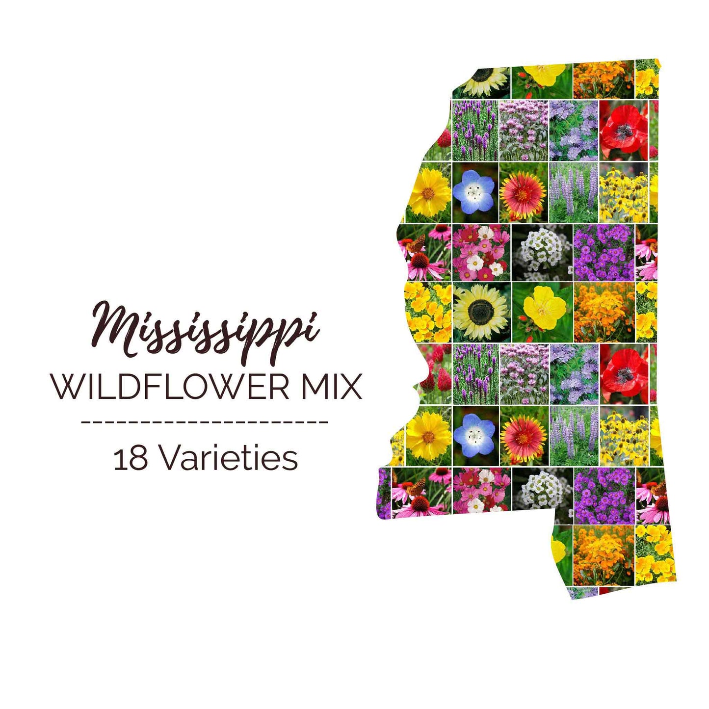 Graphic of the outline of the state for Mississippi Wildflower Seed Mix that contains images of the flowers in the mix