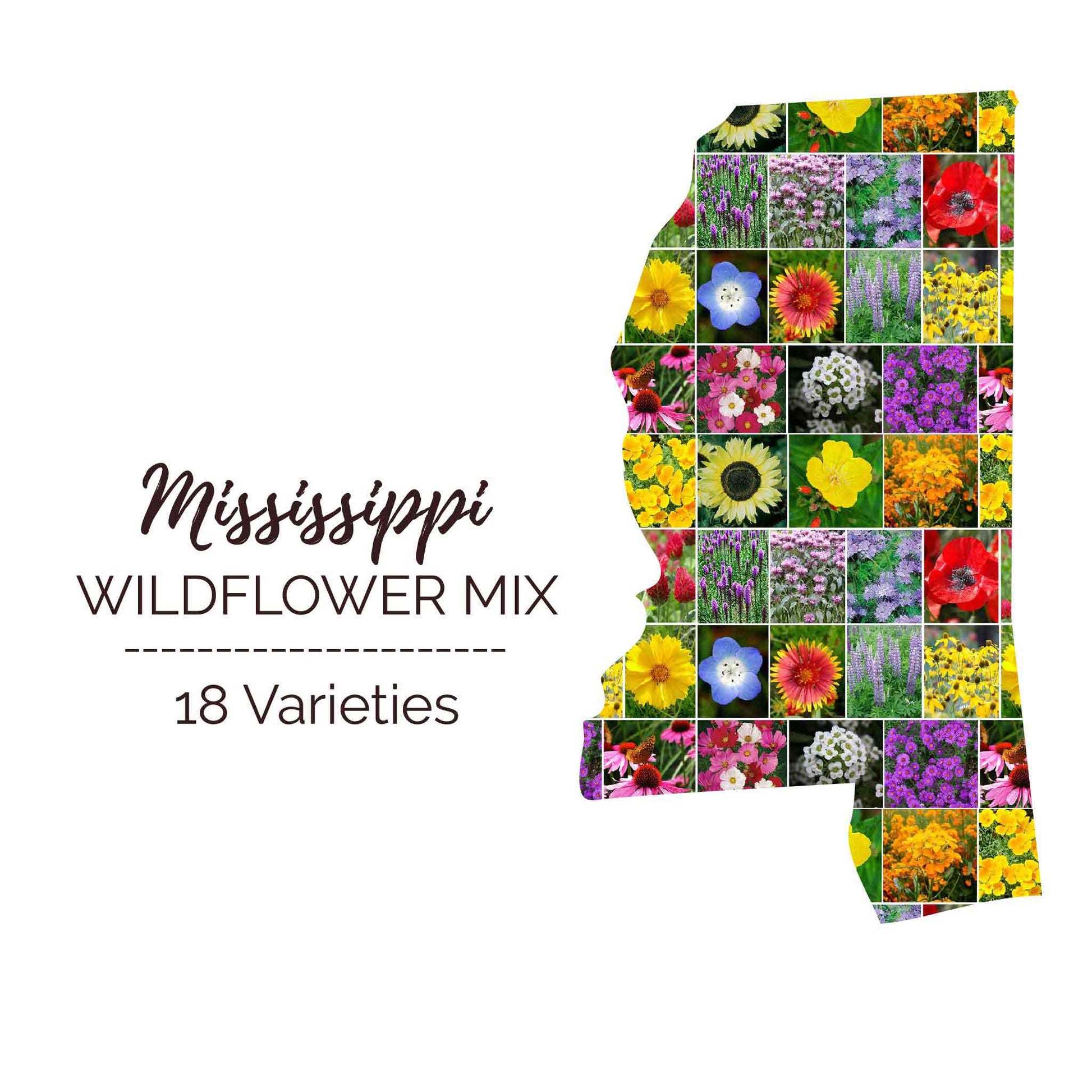 Graphic of the outline of the state for Mississippi Wildflower Seed Mix that contains images of the flowers in the mix