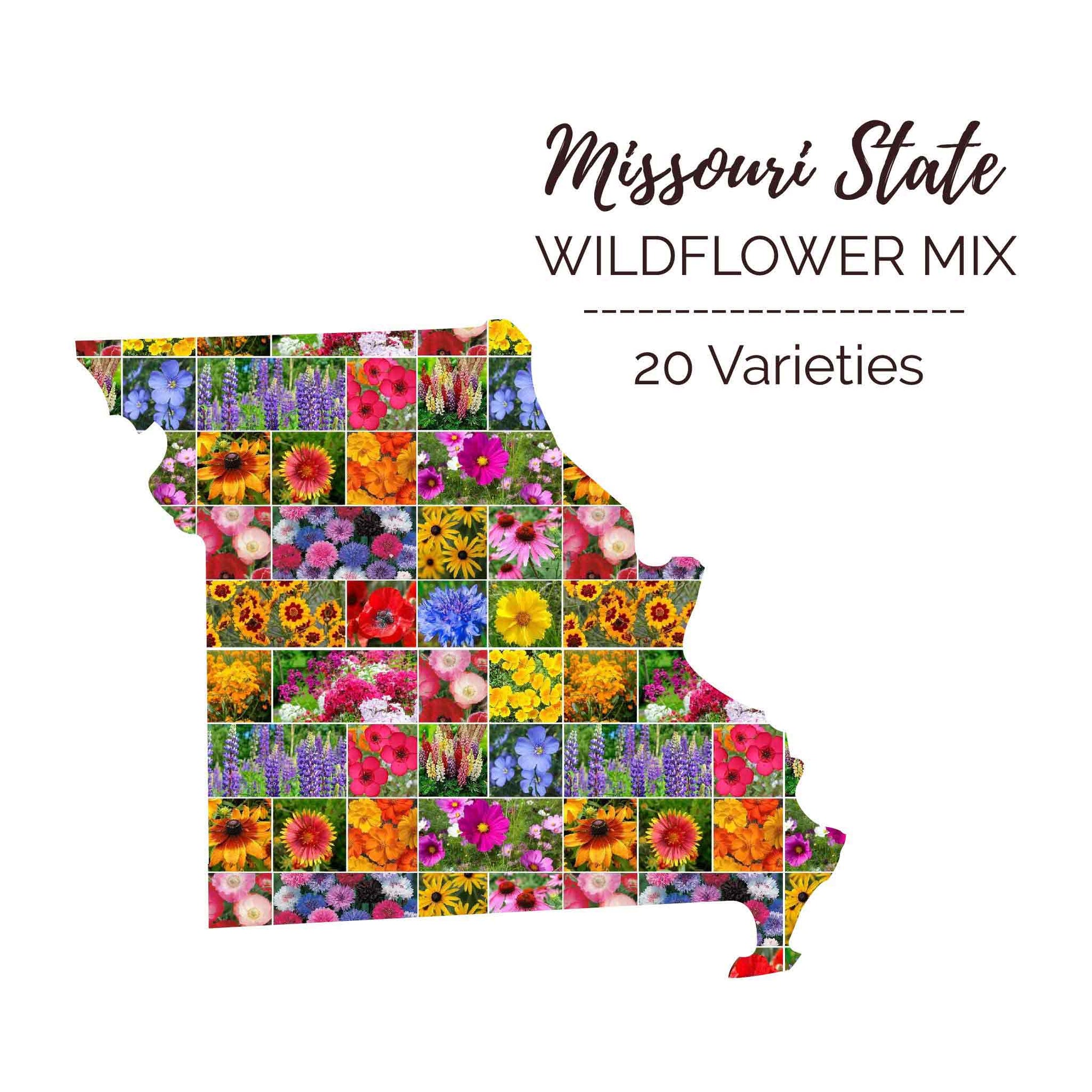 Graphic of the outline of the state for Missouri Wildflower Seed Mix that contains images of the flowers in the mix
