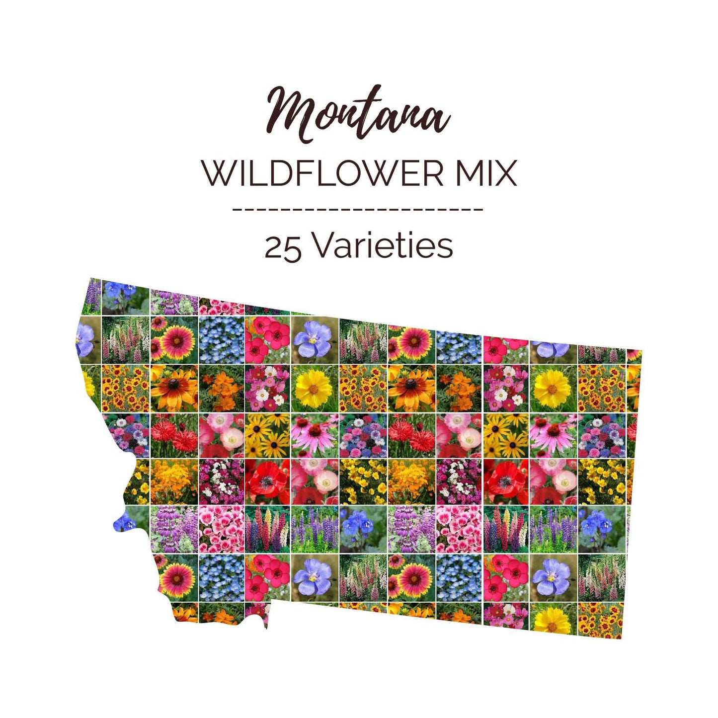 Graphic of the outline of the state for Montana Wildflower Seed Mix that contains images of the flowers in the mix