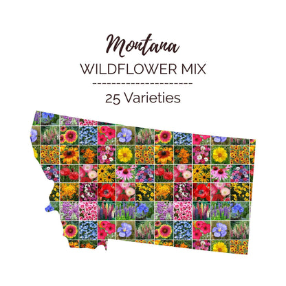 Graphic of the outline of the state for Montana Wildflower Seed Mix that contains images of the flowers in the mix