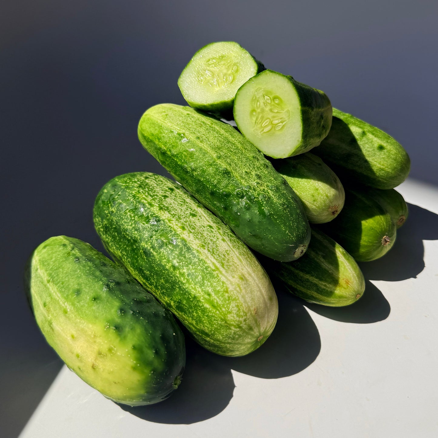 National Pickling Cucumber