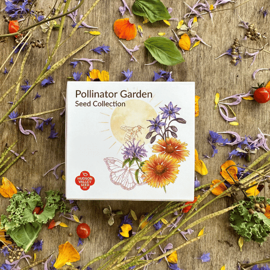 Pollinator Garden Seed Collection – flower seed variety