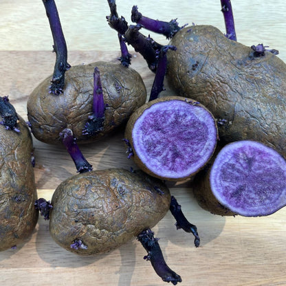 All Blue Potato