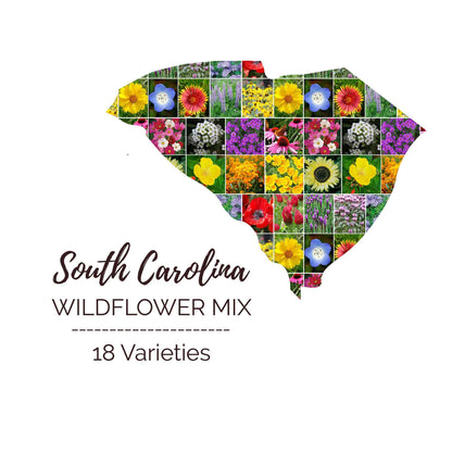 Graphic of the outline of the state for South Carolina Wildflower Seed Mix that contains images of the flowers in the mix