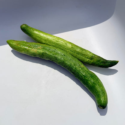 Yamato Sanjaku Cucumber