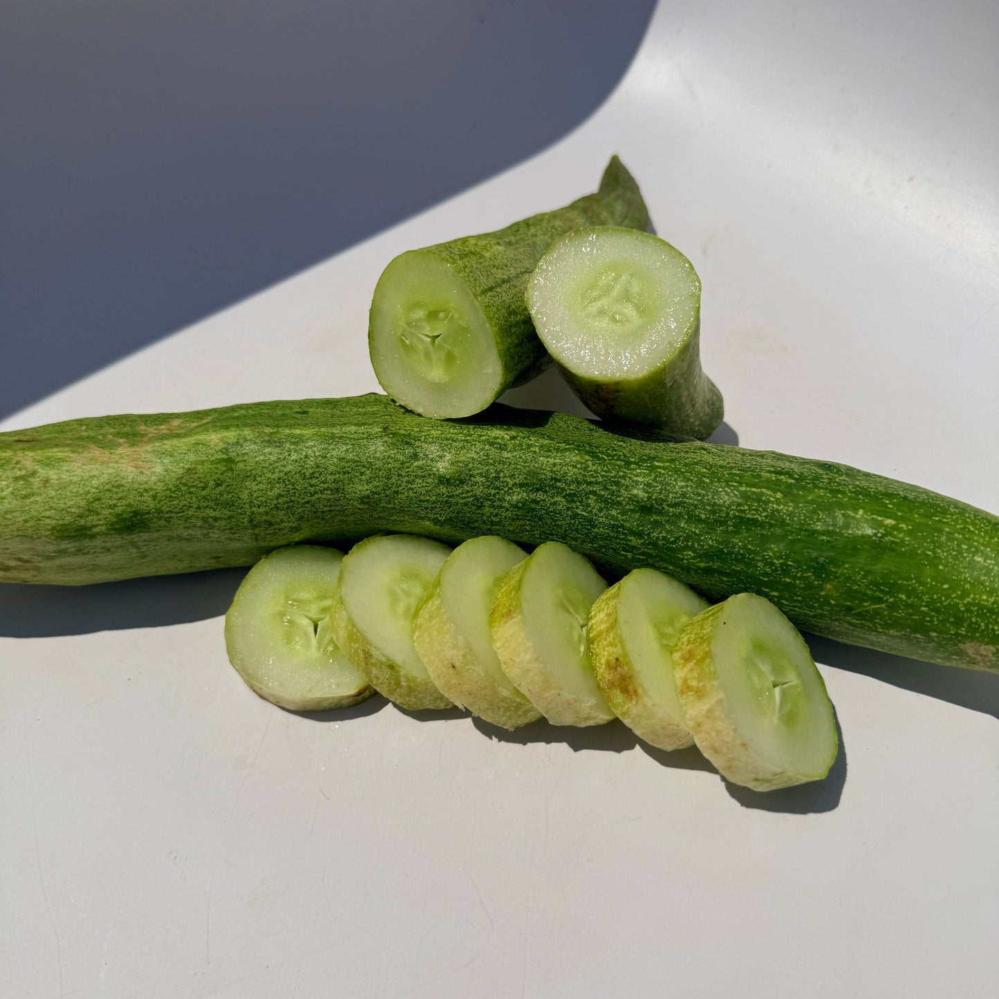 Yamato Sanjaku Cucumber